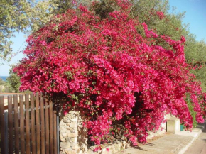 Casa a 300mt.dal mare CalaSinzias, 6 letti, AC, Pets welcome, Wi-Fi free